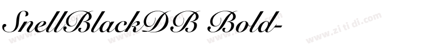 SnellBlackDB Bold字体转换